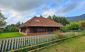 Nature Castle